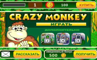    Crazy Monkey