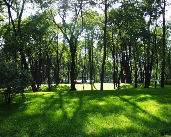 Возврат к традициям: сады и парки Казани благоустроят и реконструируют