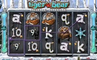 Сибирская битва в автомате Tiger vs Bear