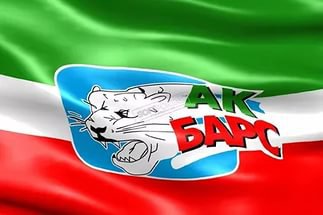 Президент Татарстана поддержал команду «Ак Барс»