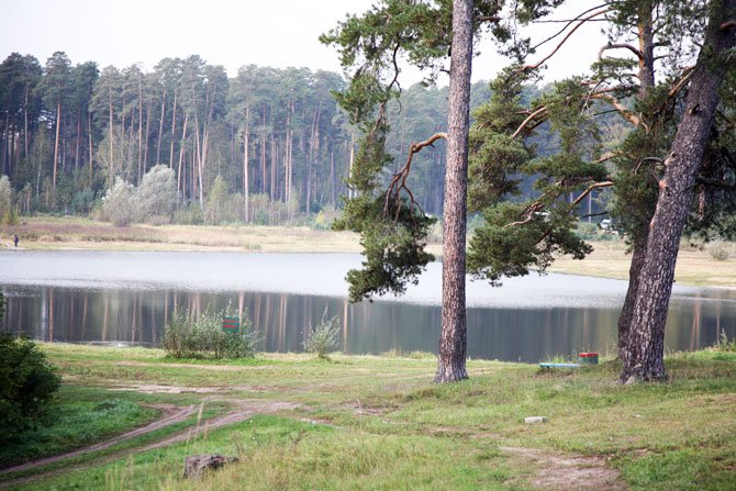 На озере Лебяжье возведут гостевые домики