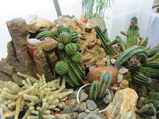 Композиции из сорняков, травы и фиолетовой картошки увидели посетители музея экологии Челнов