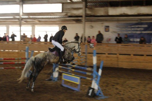 Елабужскую конно-спортивную школу 