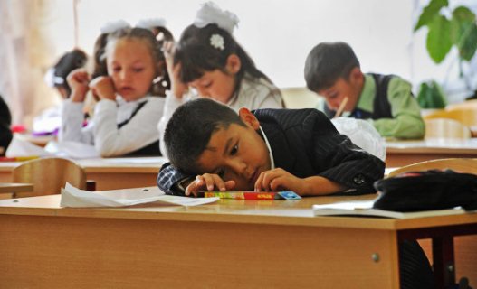 60% преподавателей школ Татарстана не хотят адаптировать занятия под детей мигрантов