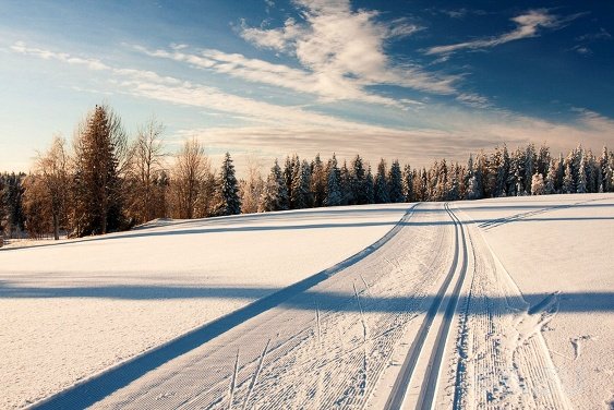Новые лыжные трассы и катки появятся в Казани