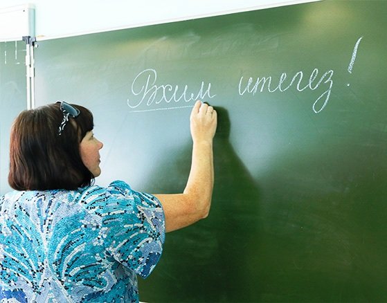 Более 1,3 тыс. учителей татарского языка вынуждены проходить переподготовку