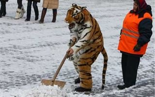Жители Казани требуют убрать с улиц лёд