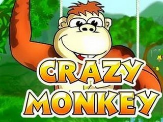 Обзор виртуального слота  Crazy Monkey