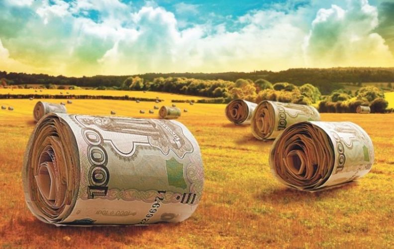 Татарстан запускает новую программу поддержки сельского предпринимательства
