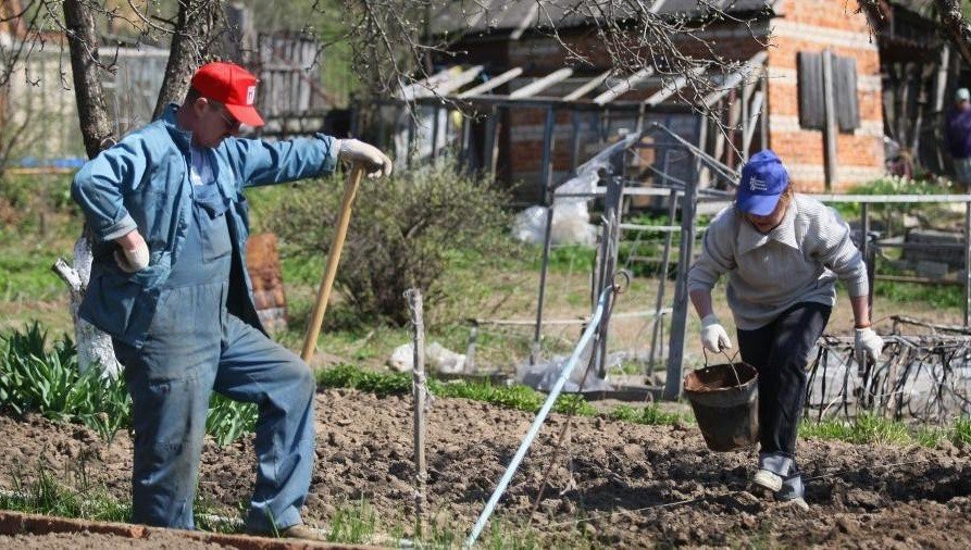 Челнинские садоводы собираются отдать бесхозные участки предприятиям