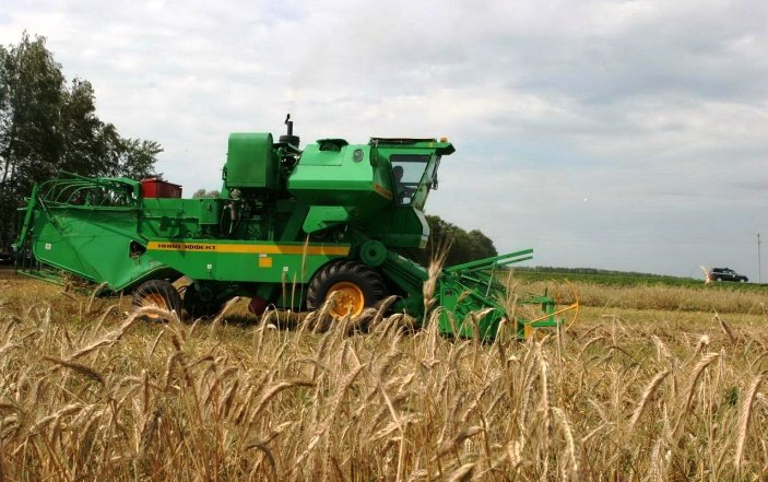880 млн руб. выделят власти РТ на субсидии аграриям