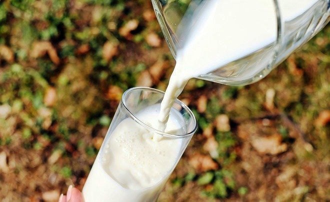 18 районов Татарстана уменьшили производство молока