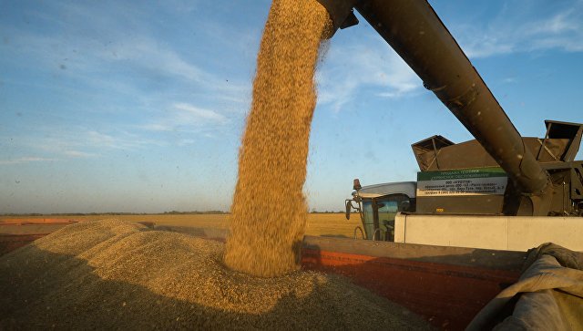 Земледельцы Татарстана собрали 3,7 млн тонн зерна
