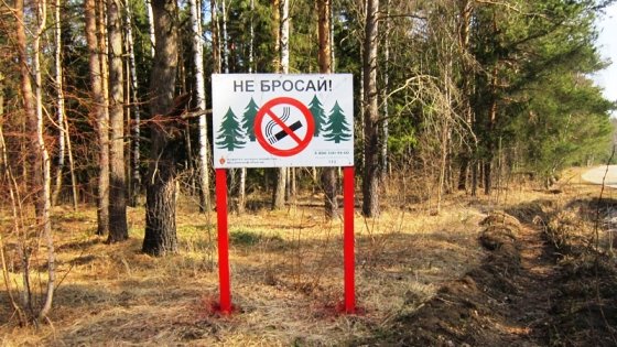 В РТ установлены границы 24 лесничеств на площади 920 тыс. га