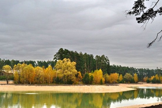 В Казани у Лебяжьего озера могут построить оздоровительный лагерь
