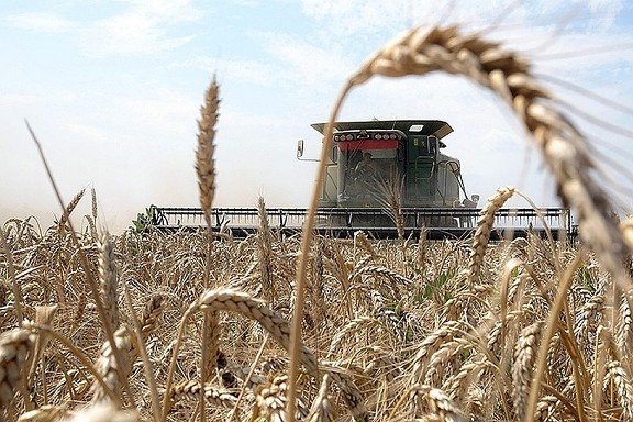 В РТ собрано 4,2 млн тонн зерна