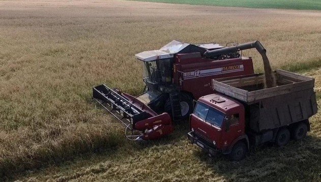 По ранним зерновым культурам в Татарстане собрано 4 млн 250 тыс. тонн урожая