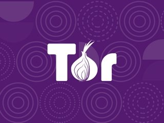 Плюсы и минусы популярного браузера TOR