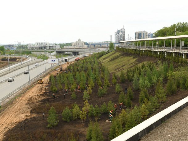 Казань установила новый «зеленый рекорд» – за 11 лет высажено больше 500 тыс. деревьев