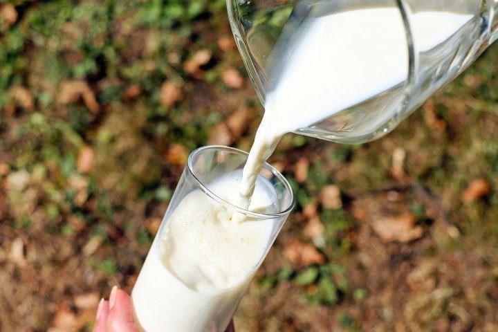 Цены на молоко в РТ потеряли 205 млн руб.выручки