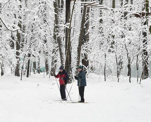 Пункт проката лыж открылся в Горкинско-Ометьевском лесу